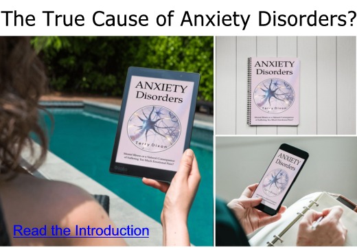 Anxiety Disorders eBook - all devices